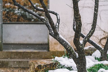 中式古典园林中的雪景背景图片