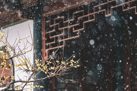 雨庭院中式古典园林中的雪景背景