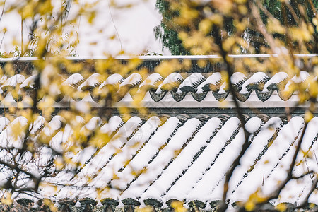 冬季庭院中式古典园林中的雪景背景