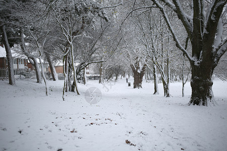 大不列颠 雪景道路高清图片素材