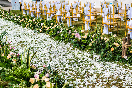 白色线条花卉户外草坪婚礼场景背景