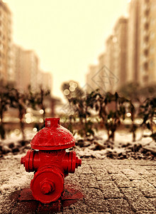 雪天里的消防栓图片