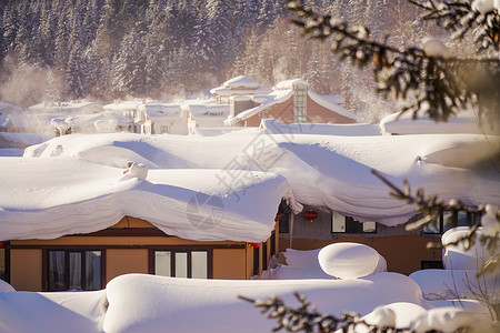 哈尔滨雪乡美景雪乡背景