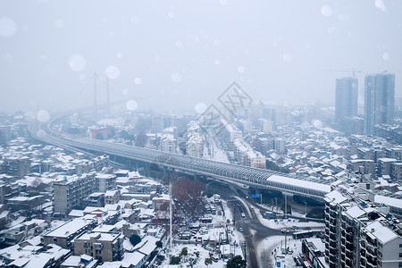 雪天骑行鹦鹉洲长江大桥雪景背景