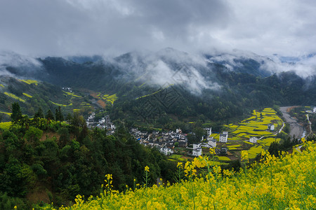 旅游踏春春季江南盛开的油菜花田背景