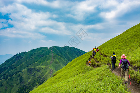 户外风光草地高清图片素材