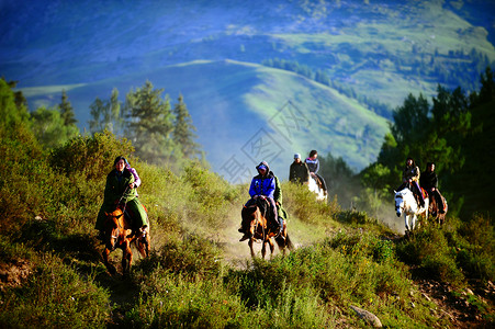 新疆禾木骑马的旅行者高清图片