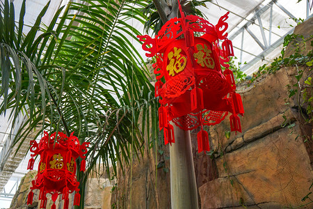 春节游乐园植物园里的年味儿灯笼背景