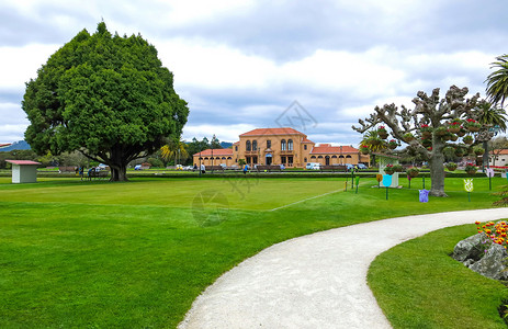 新西兰罗托鲁阿政府花园背景图片