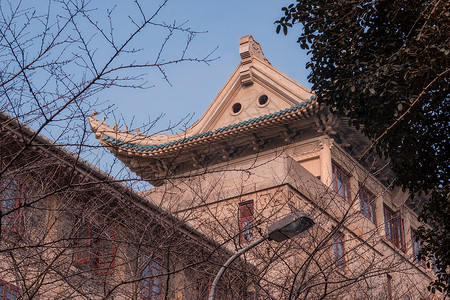 武汉大学樱顶高清图片