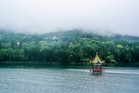 雨树林绵绵细雨中坐落在湖中的小亭子背景