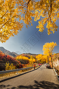 秋色公路图片