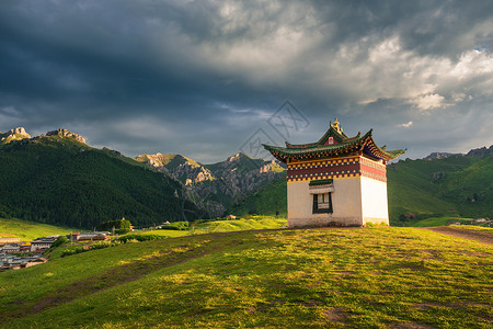 圣地高原夏菜高清图片