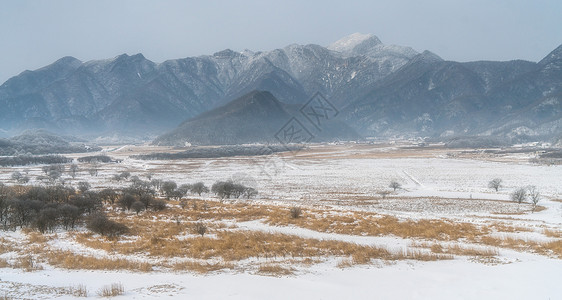 神农架大九湖雪景图片