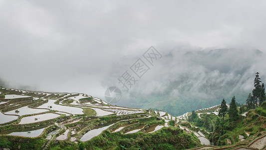 加榜梯田贵州加傍梯田背景