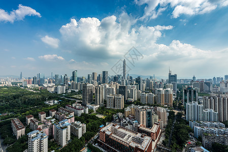 俯瞰树林与街道深圳城市中心区背景