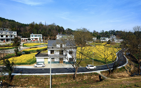 城乡一体春漫城乡背景