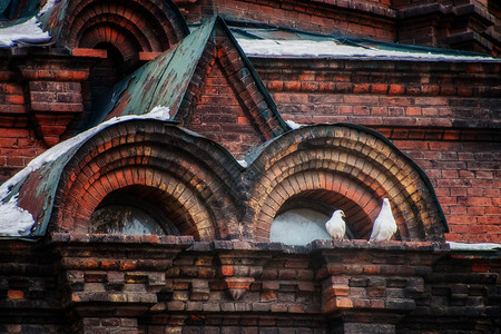 哈尔滨圣索菲亚大教堂上的白鸽背景图片