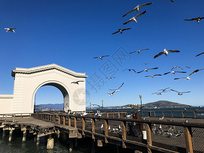 旧金山桥旧金山渔人码头背景
