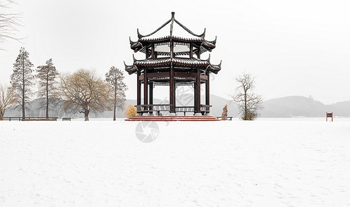 银色橡木树雪中的亭子背景