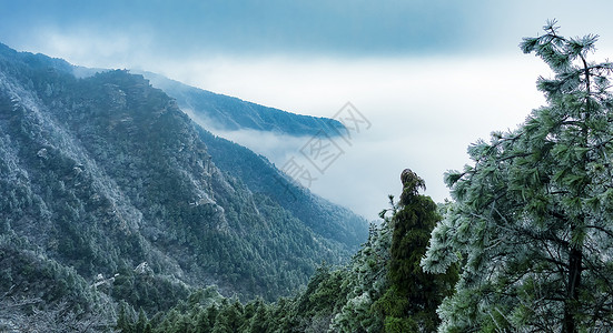 蓝色雪花花边江西庐山景区雾凇美图背景