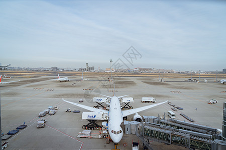 羽田机场图片