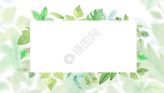 水彩花卉元素植物花卉背景设计图片