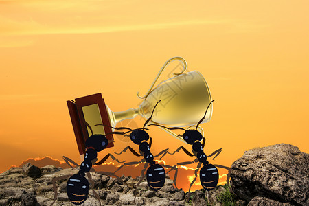奖杯金色蚂蚁素材高清图片