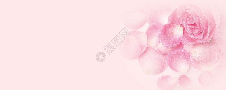 粉红色浪漫花藤化妆品背景海报设计图片