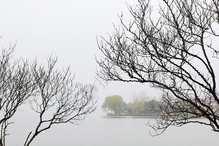 水乡春景烟雨江南背景