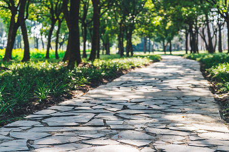 春天小路春天公园里的小路背景