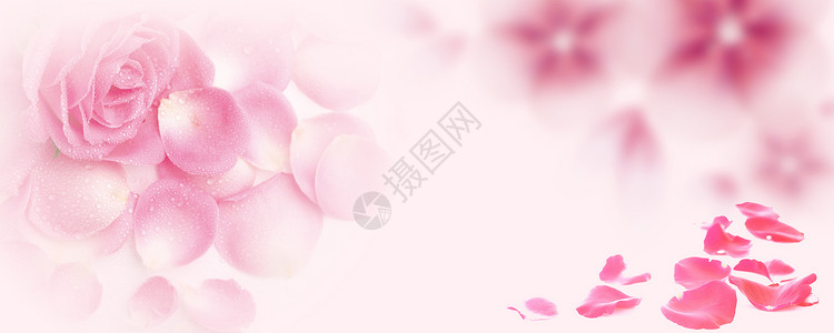 粉色康乃馨整形美容浪漫粉色海报背景设计图片