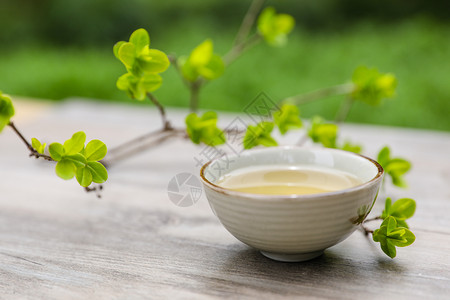 茶具特写树叶缠绕的香茗特写 小暑背景