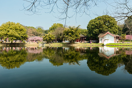 别墅后院东湖春天景色背景