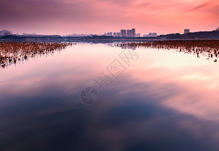 戏剧性的湖北武汉月湖晚霞背景