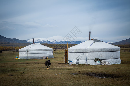辽阔大草原上的蒙古包风景高清图片素材