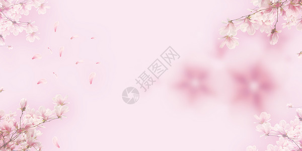十里桃林粉色化妆品背景设计图片