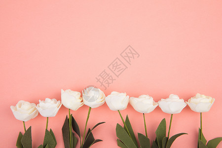 粉色背景下的花背景图片