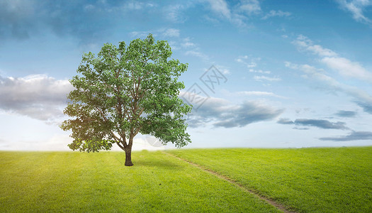 大树成长环保场景设计图片