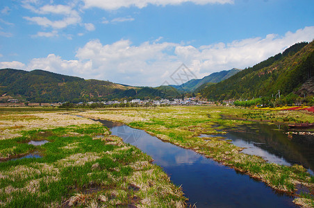 腾冲北海湿地公园背景