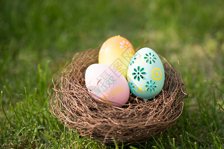 颜色鸡蛋草地上的复活节彩蛋背景