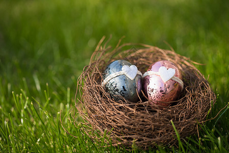 快乐的小鸟草地上的复活节彩蛋背景