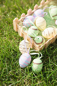 阳光下草地上的复活节彩蛋背景图片