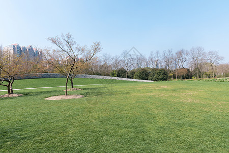 春游去哪玩春天公园里的绿色草地背景