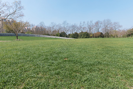 春游去哪玩春天公园里的绿色草地背景
