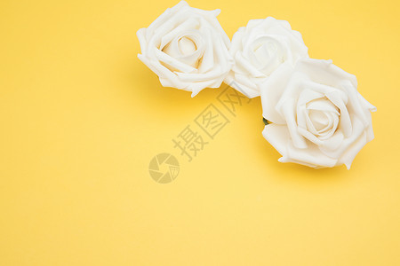 白色仿真玫瑰花高清图片