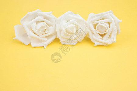 白色仿真玫瑰花背景图片