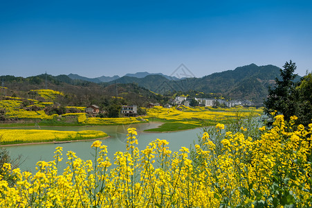 安徽新安江景区风光图片