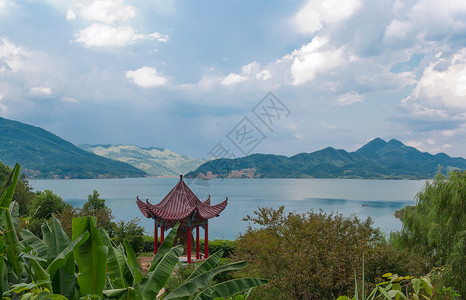 湖水树和山湖北黄石阳新仙岛湖风景背景