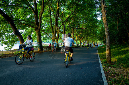 自行车与美景武汉东湖绿道美景背景